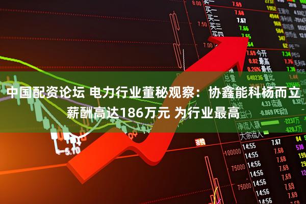 中国配资论坛 电力行业董秘观察：协鑫能科杨而立薪酬高达186万元 为行业最高